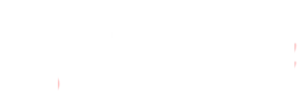 #1 trading app